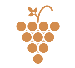 Via Vigna isn’t just a wine shop.
It’s a journey through Southern Italy — told through the people, the vineyards, and the stories behind every bottle.

Every wine is hand-selected, tasted, and chosen for a reason — not because it’s trendy, but because it’s exceptional.